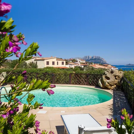 Majra - Klodge * Olbia