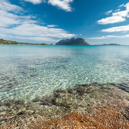Majra - Klodge Olbia