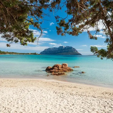 Majra - Klodge Olbia