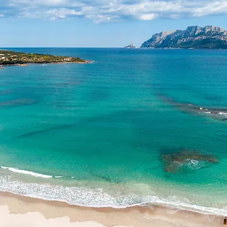 Majra - Klodge * Olbia